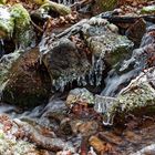 Eiskristalle im Waldbach