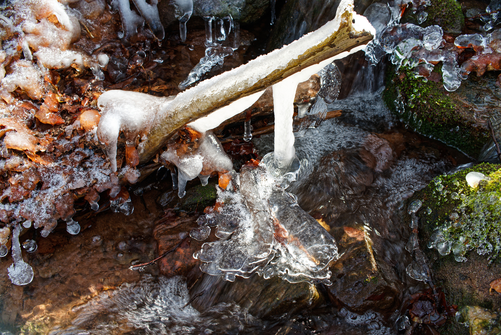 Eiskristalle im Waldbach