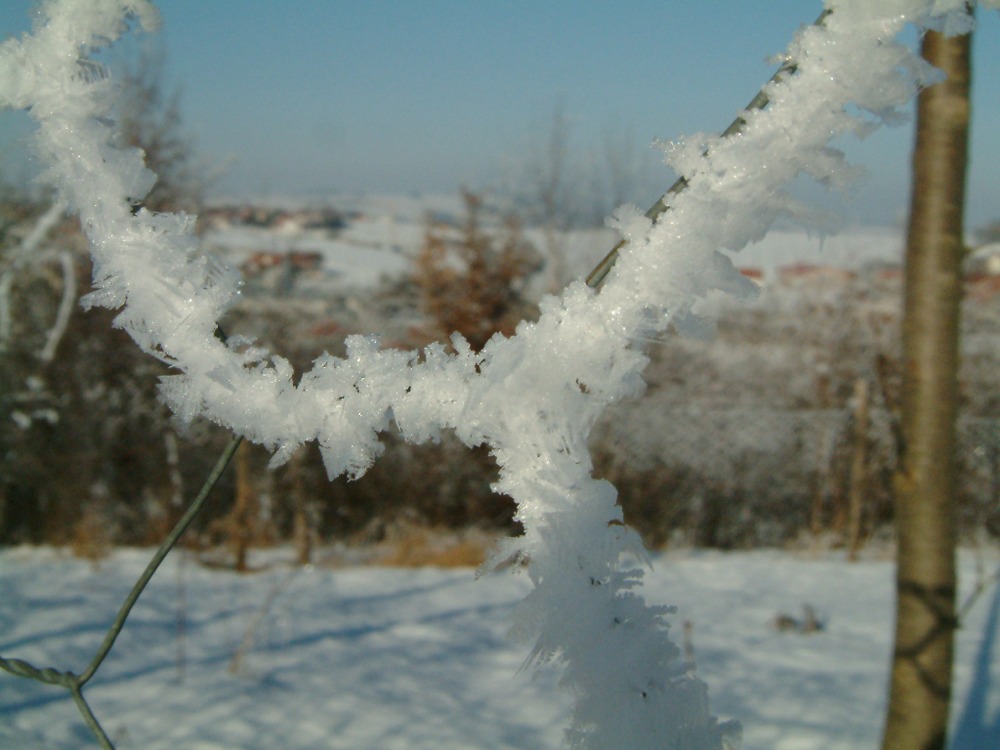 Eiskristalle im Winter