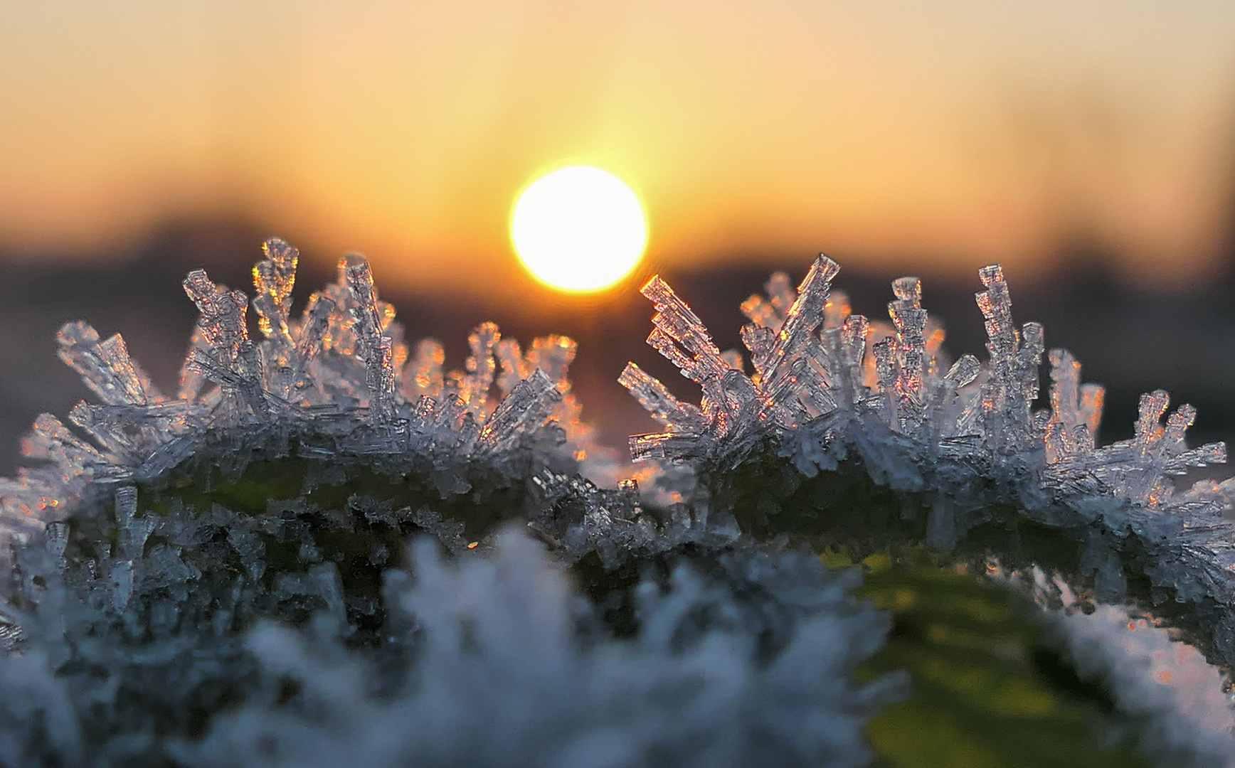 Eiskristalle in der Morgensonne