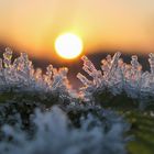 Eiskristalle in der Morgensonne