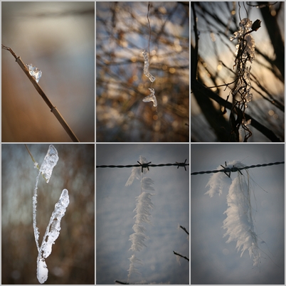 Eiskristalle in der Natur