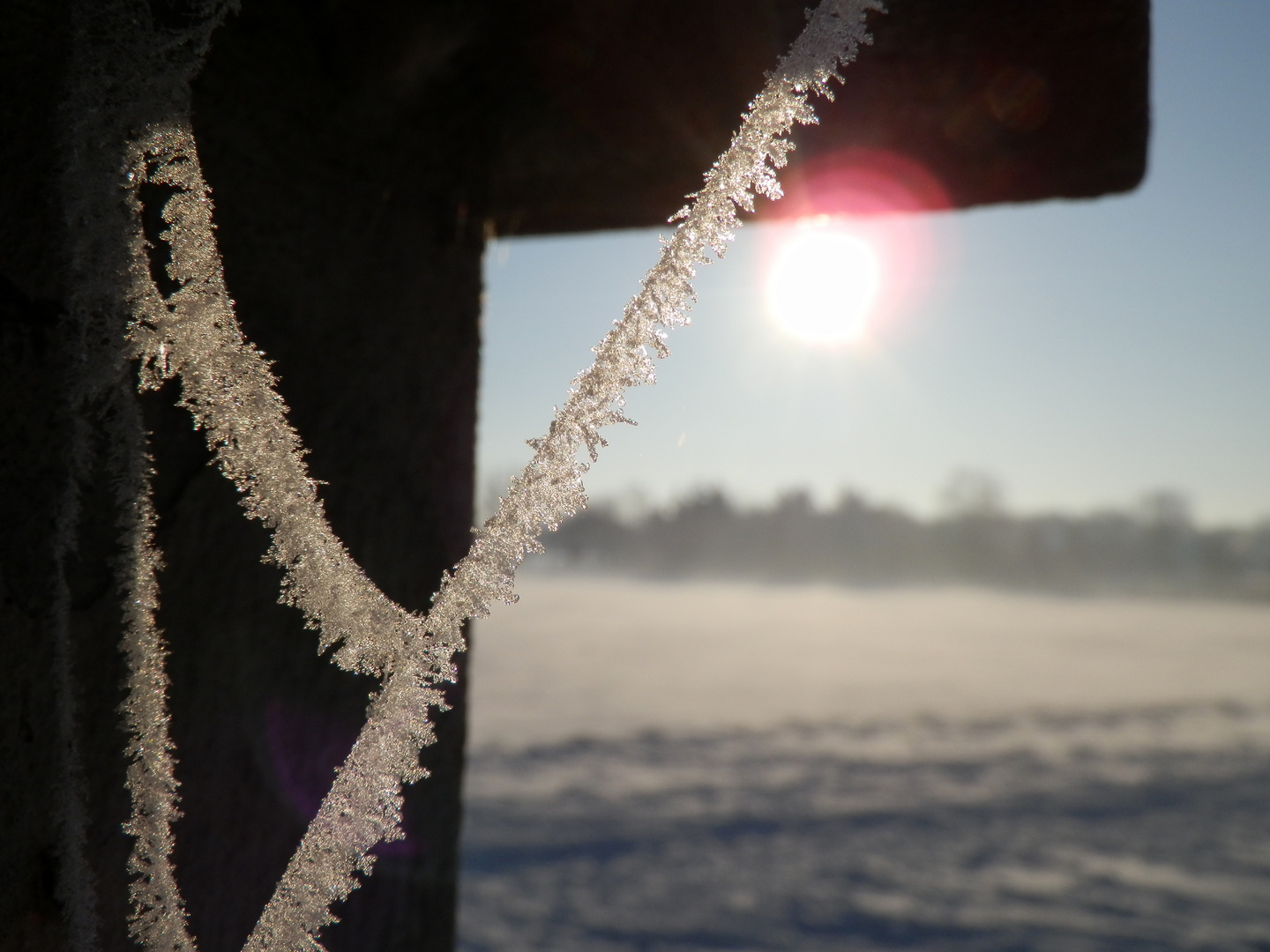 Eiskristalle in der Sonne