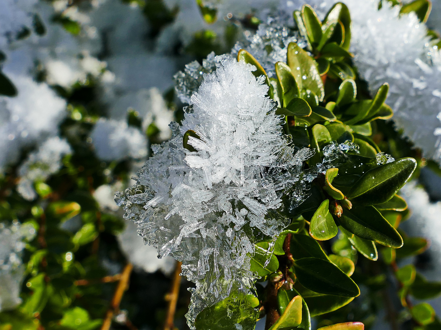 Eiskristalle wie Diamanten