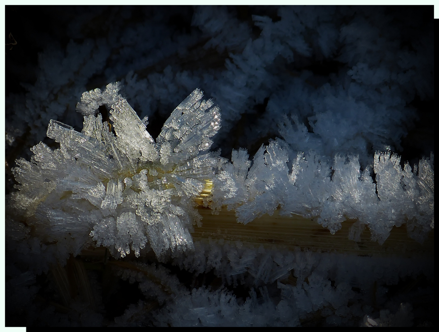 Eiskristalle Zauber der Natur