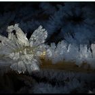 Eiskristalle Zauber der Natur