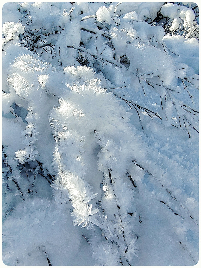 Eiskristalle zum Zweiten