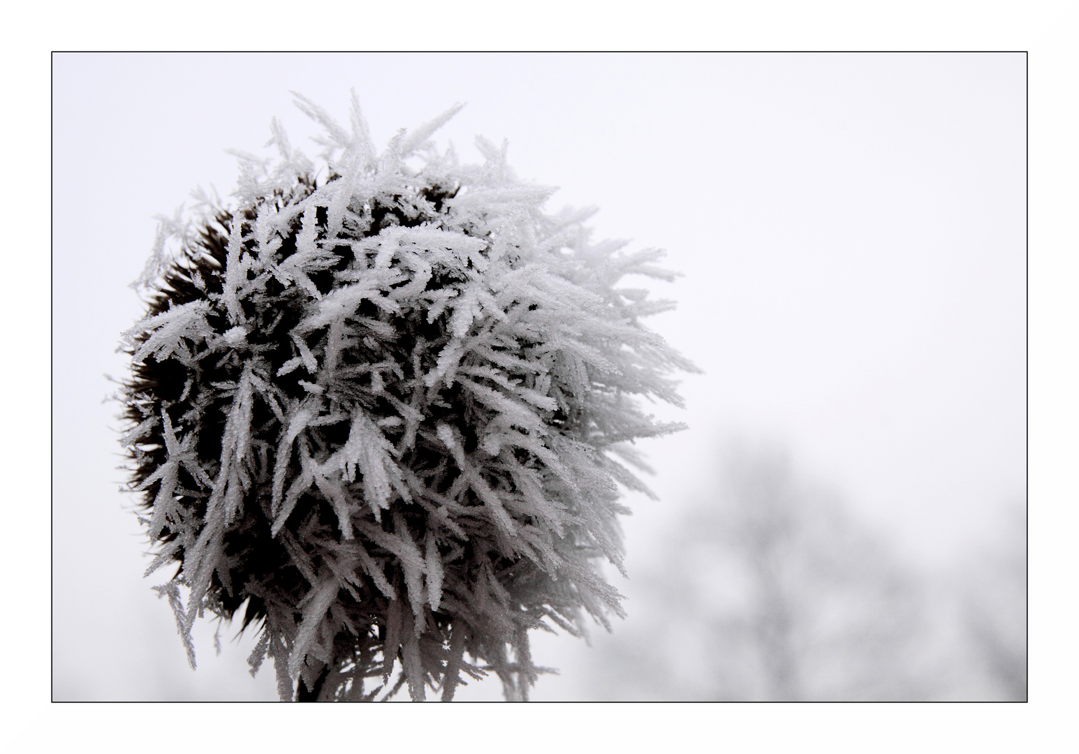 Eiskristallkugel....