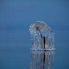 Eiskrone im Bodensee