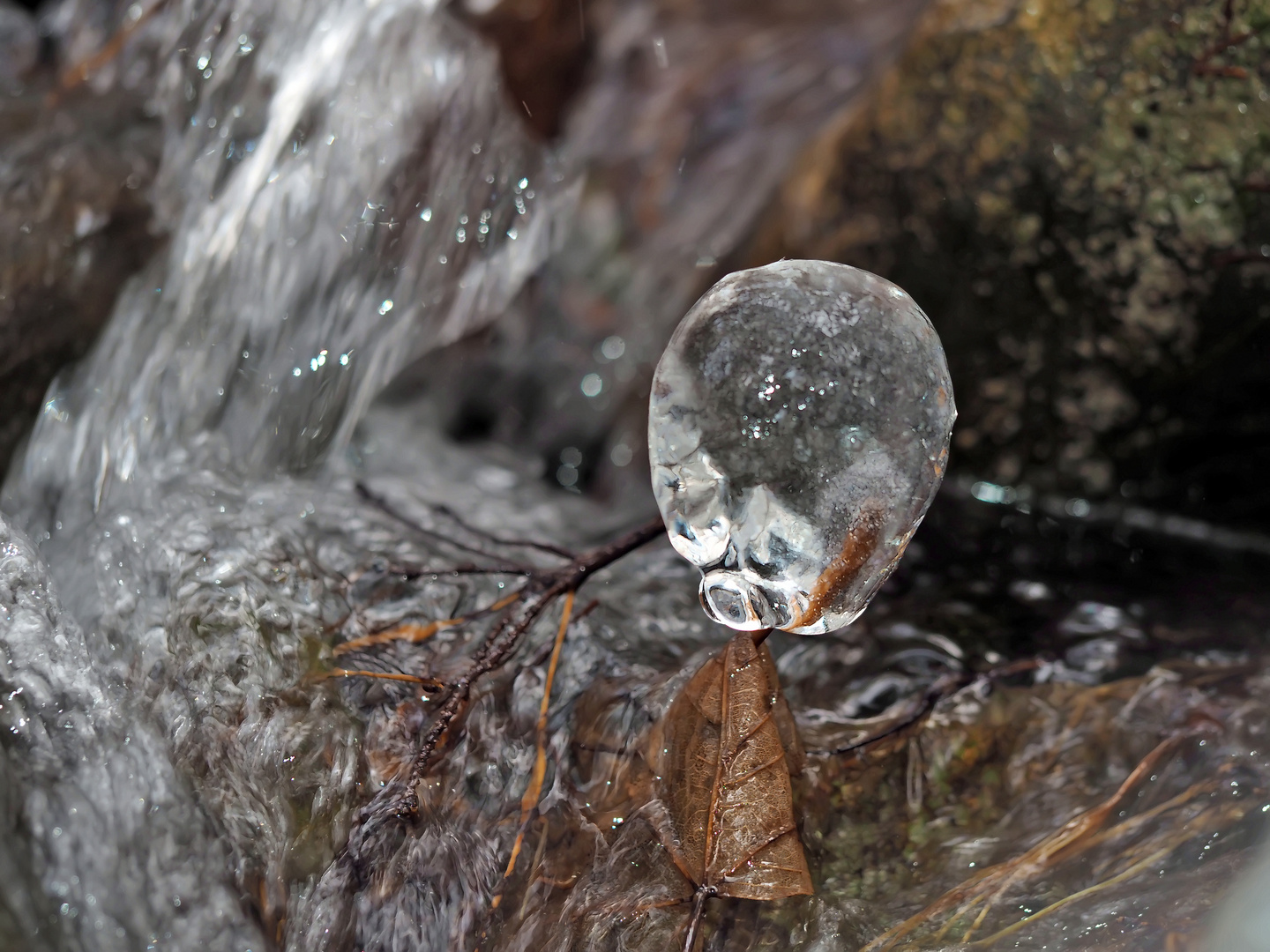 Eiskugel im Bach - Découverte artistique dans le ruisseau!