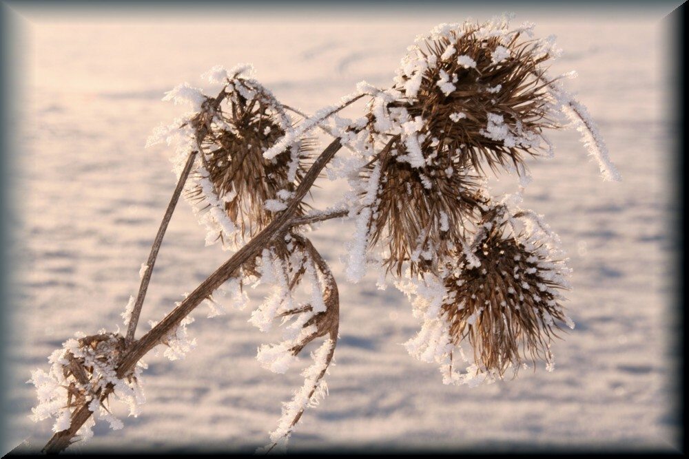 Eiskugeln