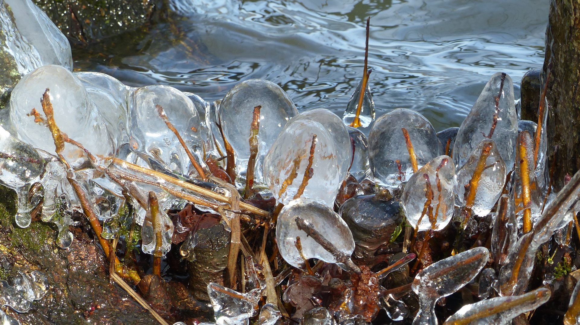 Eiskugeln am See P1370580