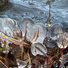 Eiskugeln am See P1370580