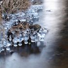 Eiskugeln am Wasser