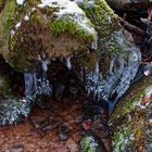 Eiskunst am Waldbach