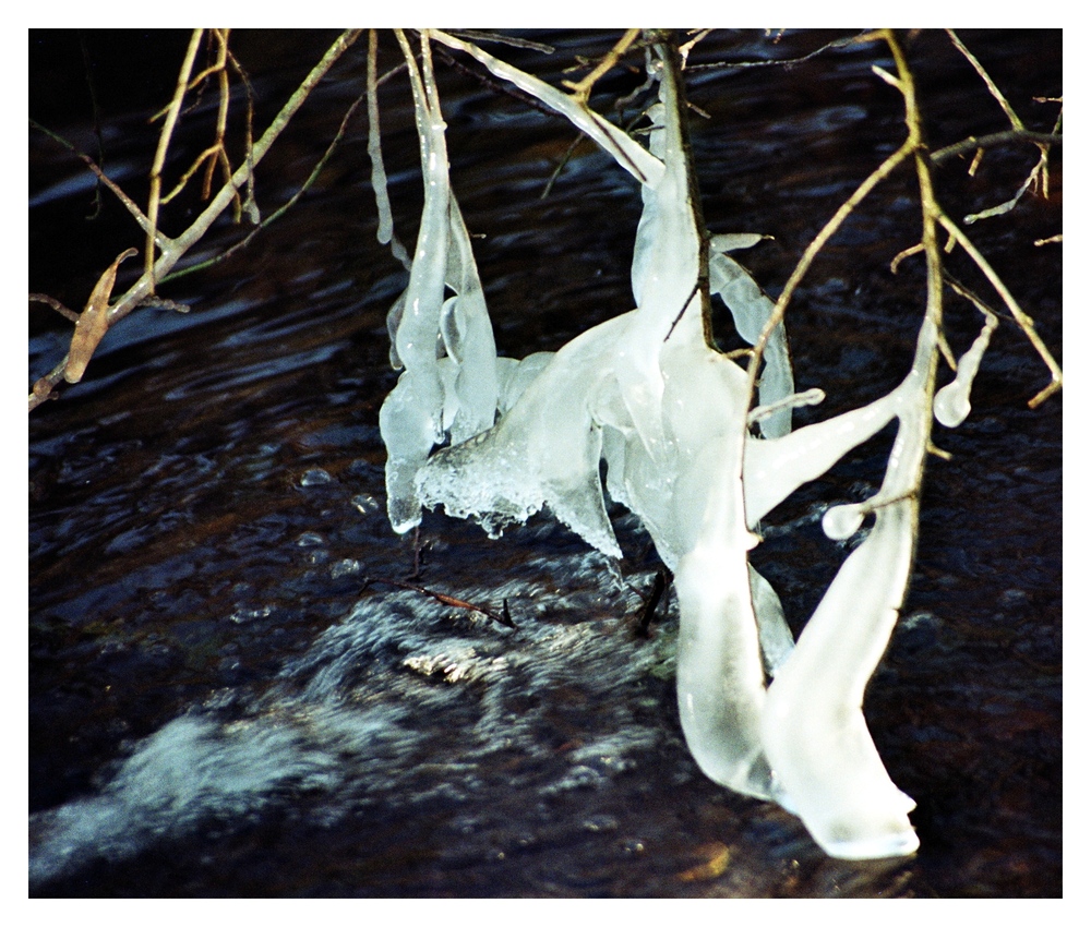 Eiskunst am Wegesrand