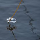 Eiskunst auf Steinhuder Meer