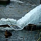 Eiskunst aus dem Wasserschlauch