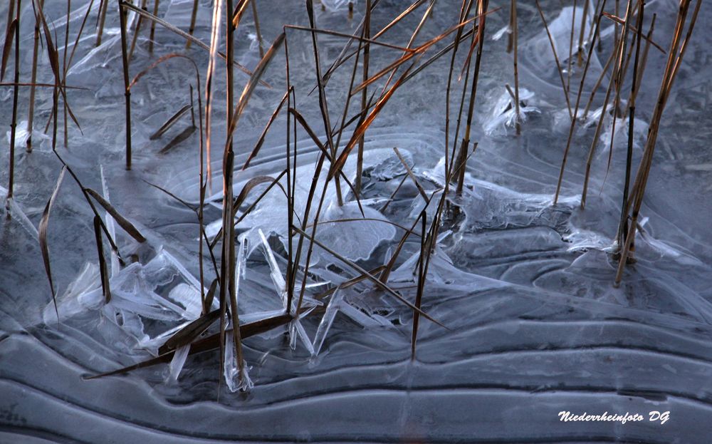 Eiskunst der Natur