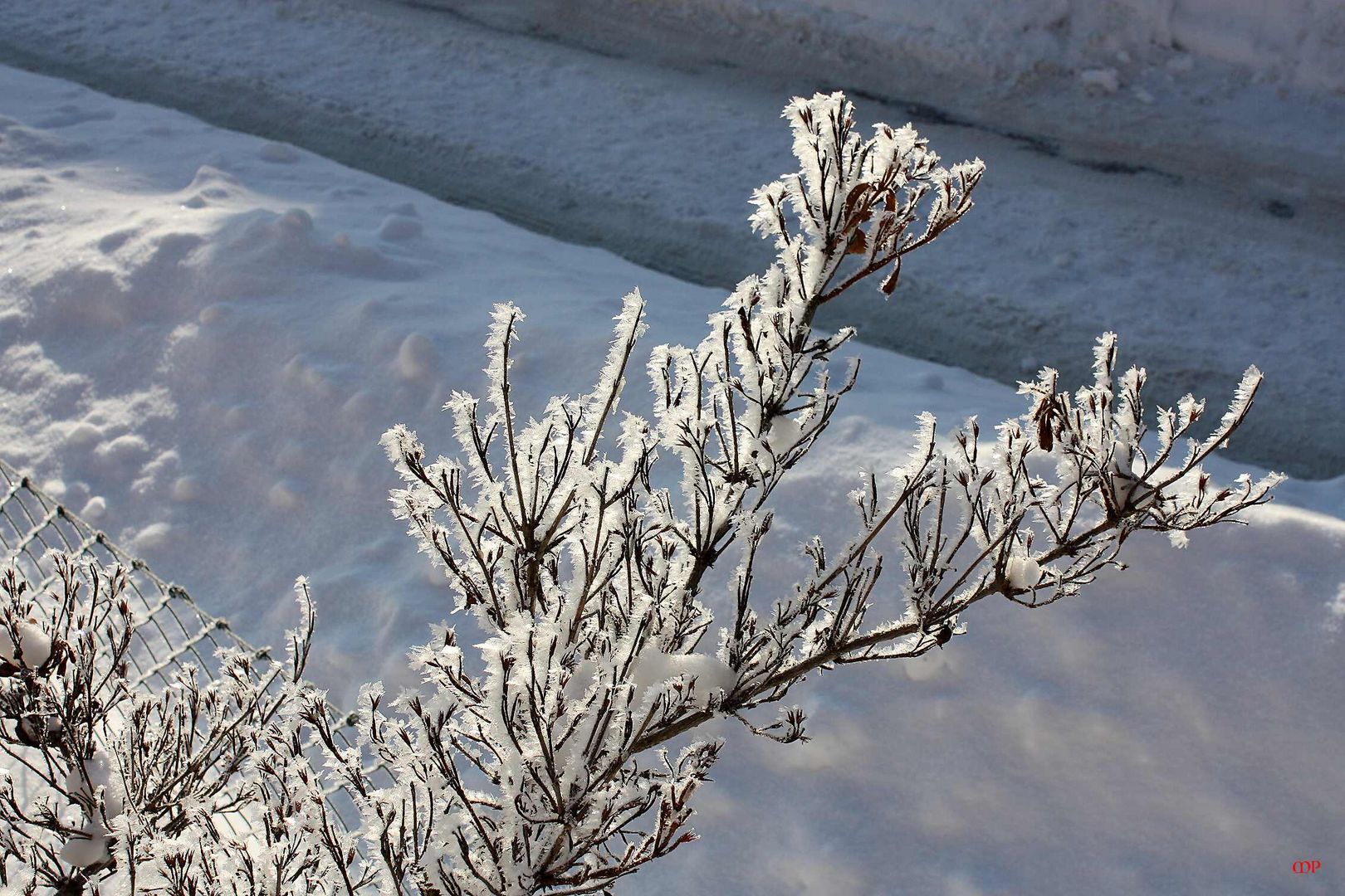 Eiskunst in der Natur