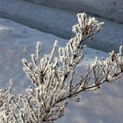 Eiskunst in der Natur