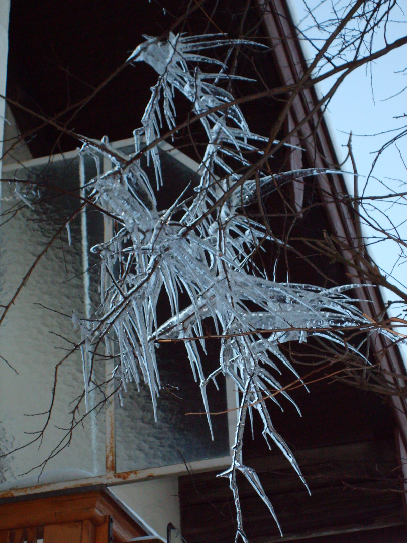 Eiskunst in Ruhpolding