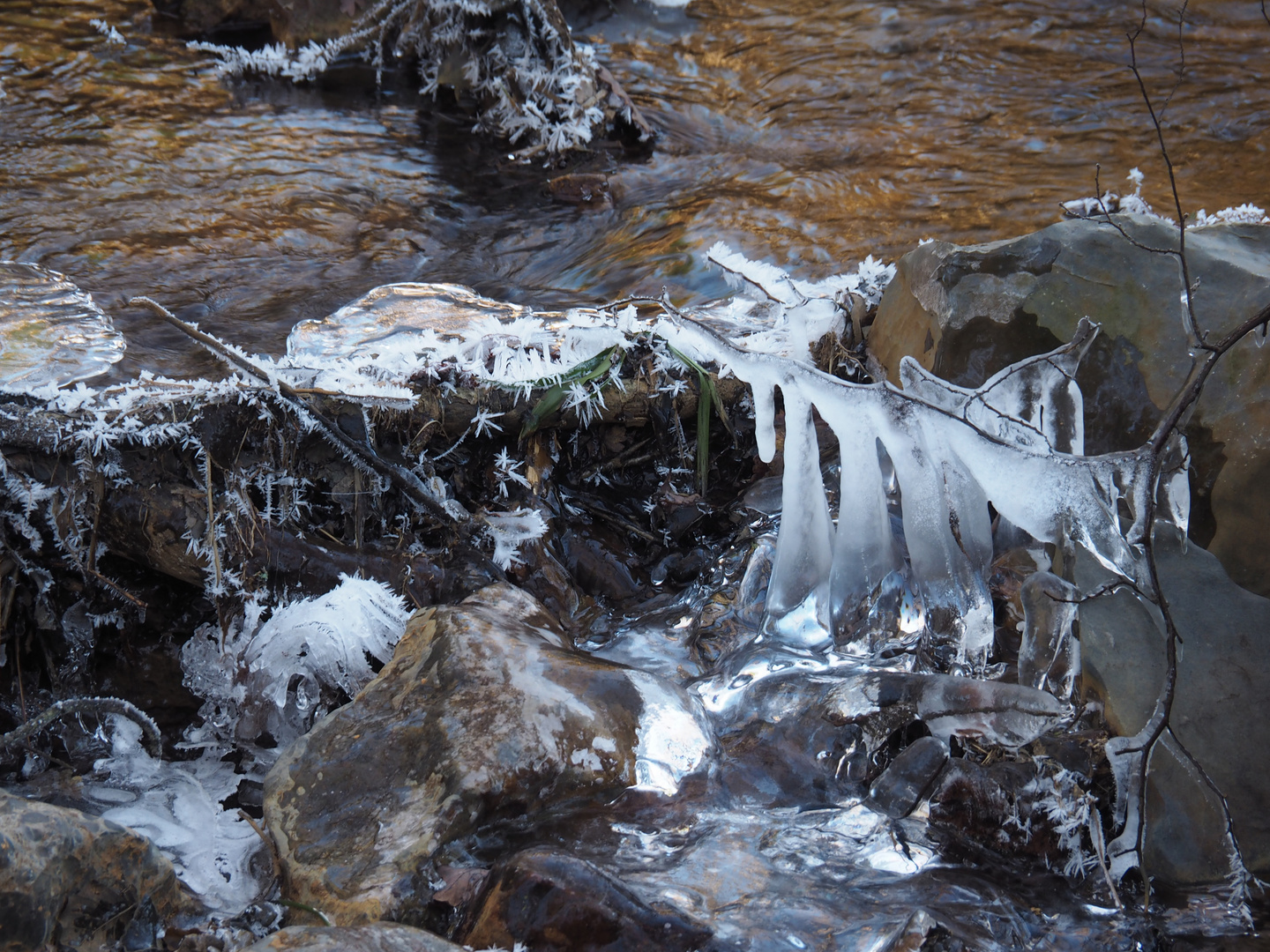 Eiskunst in Vollendung