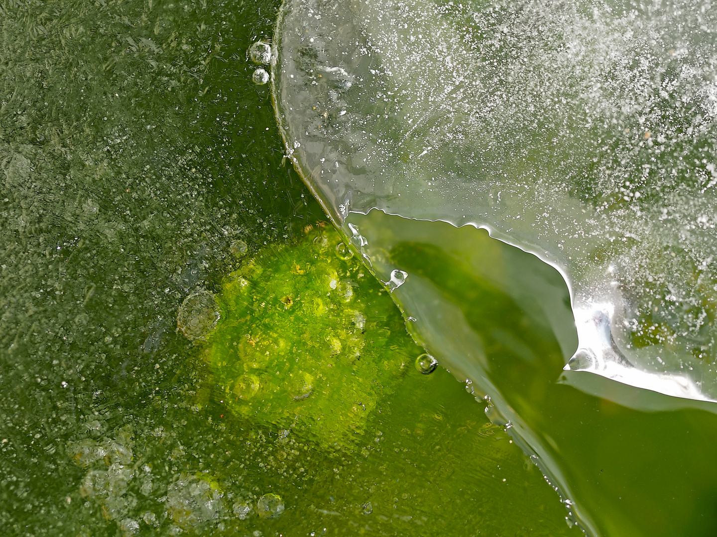 Eiskunst: wie aus einer anderen Welt! - Une vieille fontaine gelée en hiver.