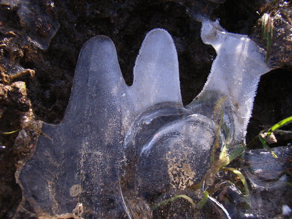 Eiskunstwerk-Schnecke