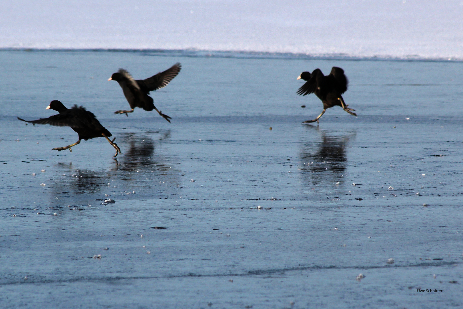 Eisläufer