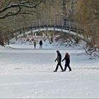 Eisläufer auf dem Adolf-Mittag-See