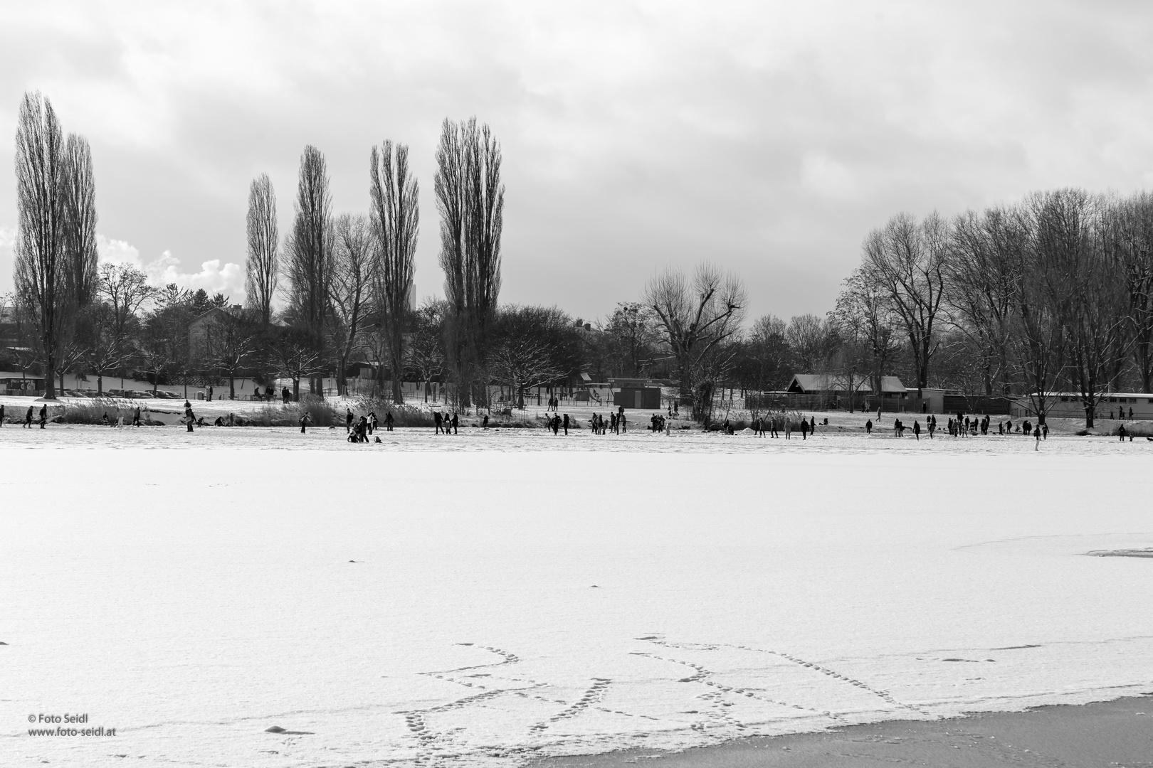 Eislaufen an der Alten Donau