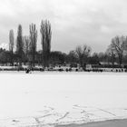 Eislaufen an der Alten Donau