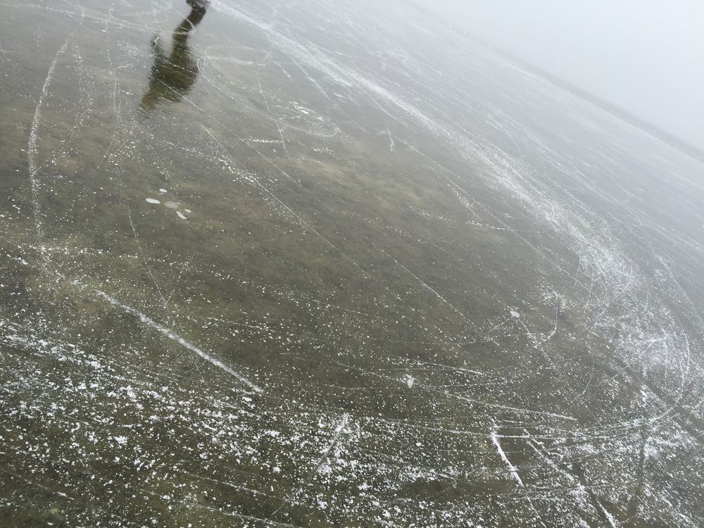 Eislaufen auf dem Gnadensee