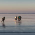 Eislaufen auf dem Steinhuder Meer - ein Wintervergnügen