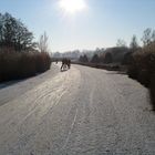 Eislaufen bei Dwarsgracht, NL