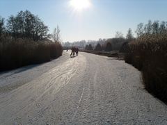 Eislaufen bei Dwarsgracht, NL