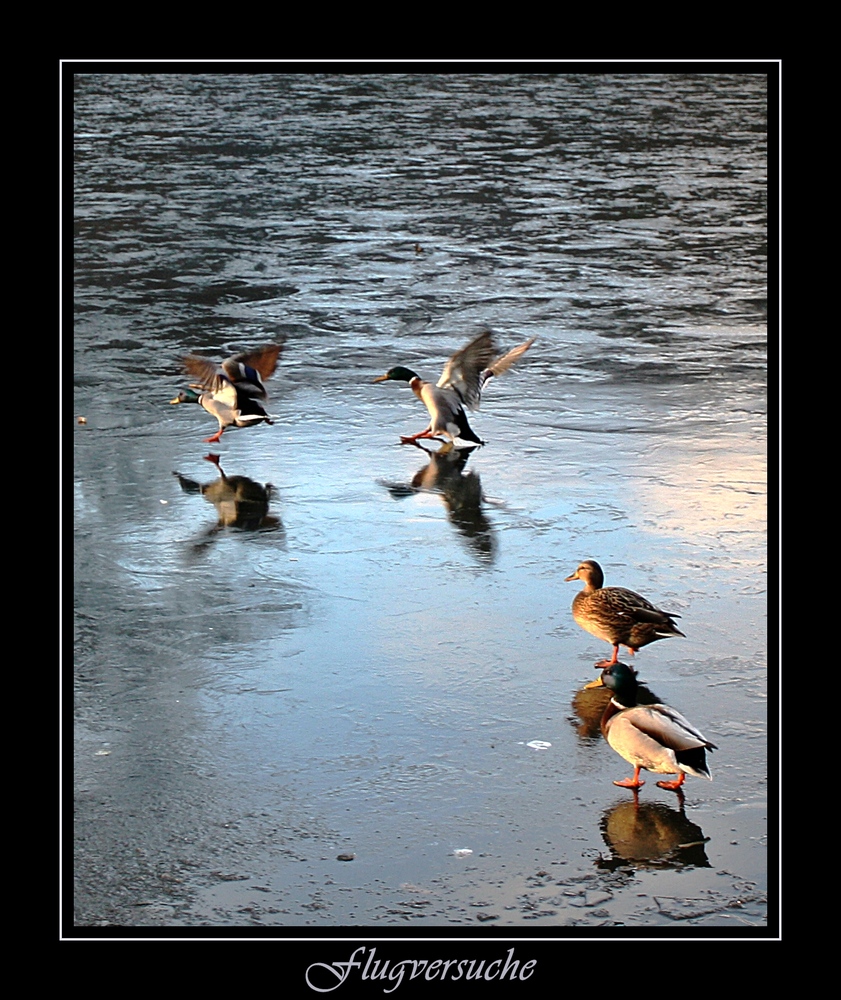 Eislaufkünstler