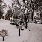 Eislaufvergnügen?