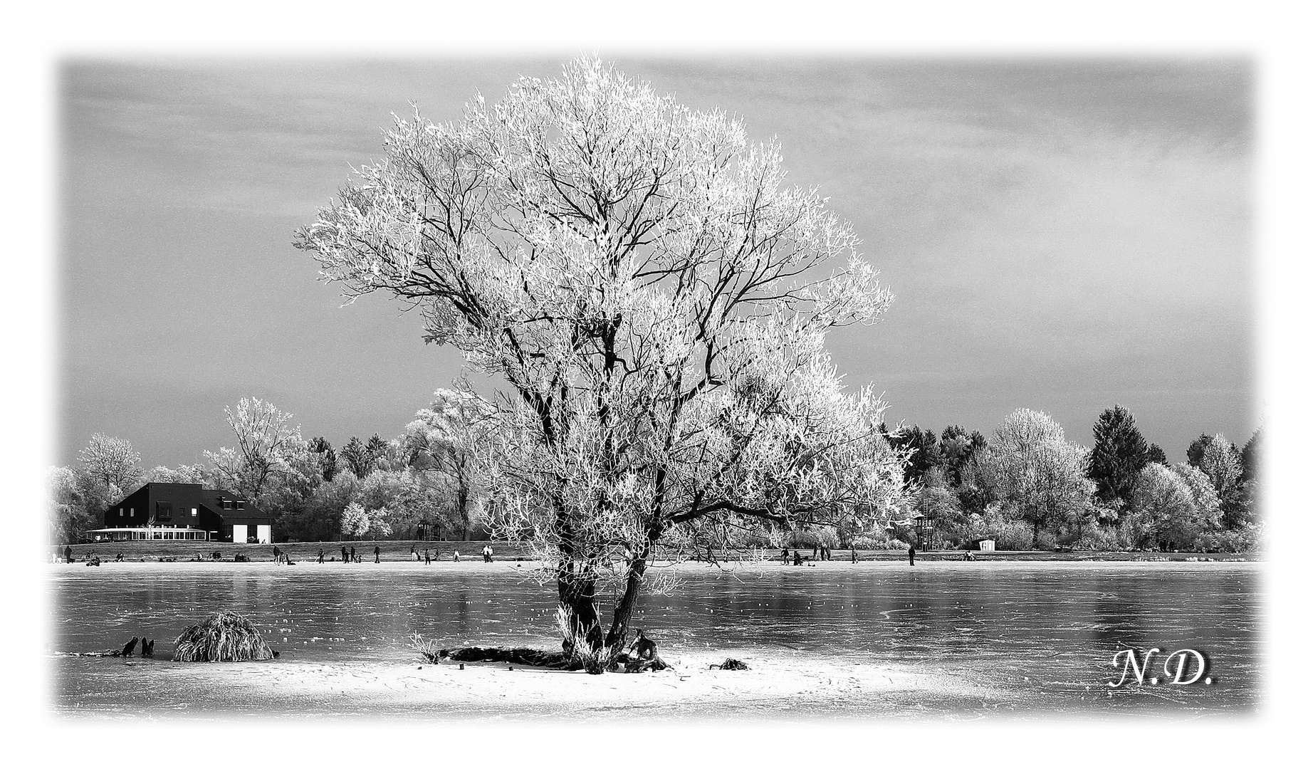 Eislaufvergnügen am Weitmannsee