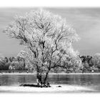 Eislaufvergnügen am Weitmannsee