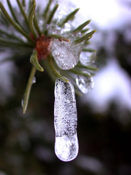 Eisleben im Jahrhundertsommer