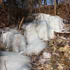 Eisleben mitten im Wald