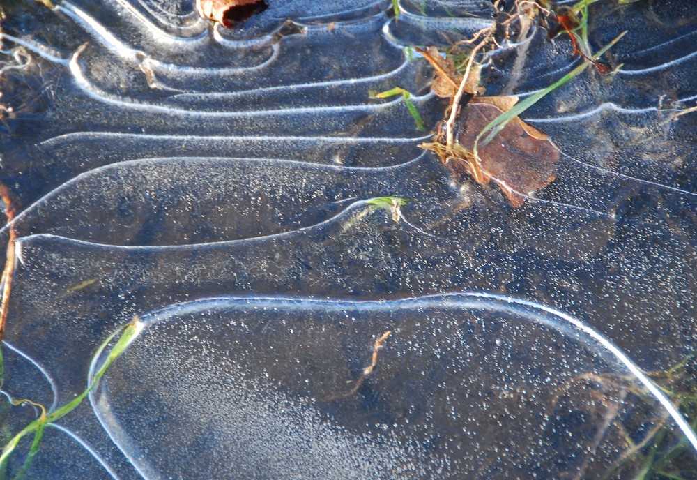 Eislinien