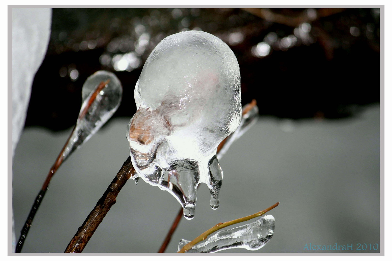 Eislutscher...