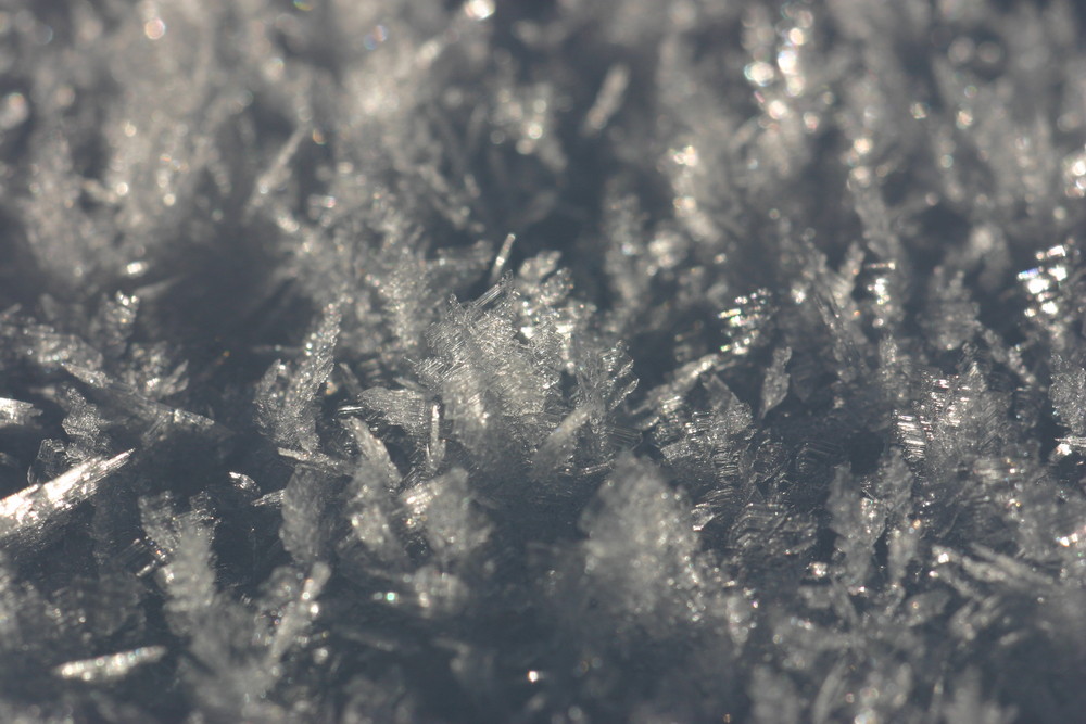 Eismakro bei -15°C