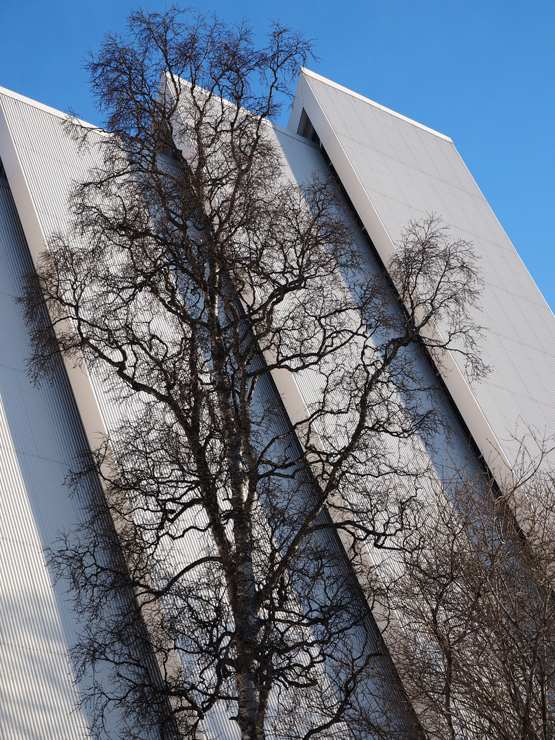 Eismeerkathedrale in Tromsø (Detail)