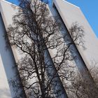 Eismeerkathedrale in Tromsø (Detail)