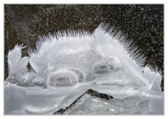 Eismonsterchen