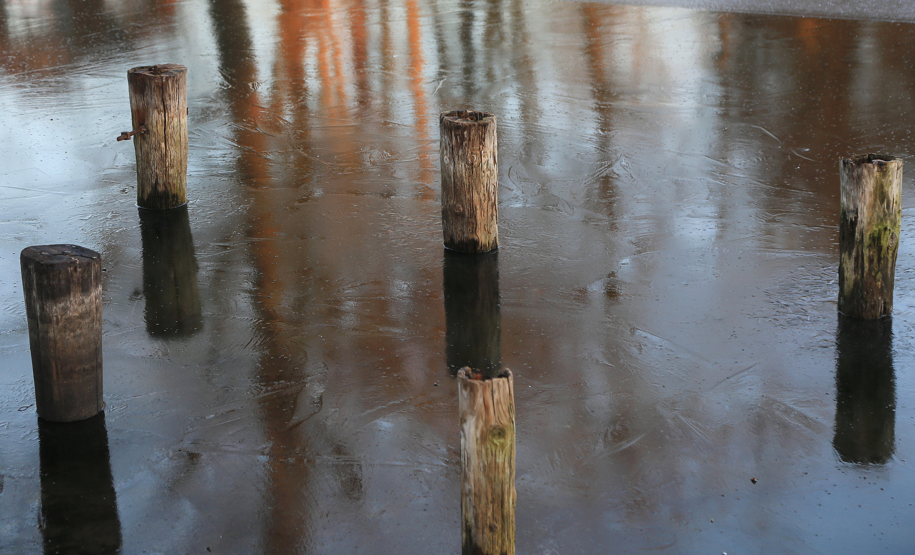 eismorgen am teich